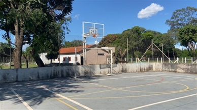 Imagem da estrutura 14